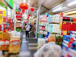 Hong Kah Ville (D22), Shop House #589560541